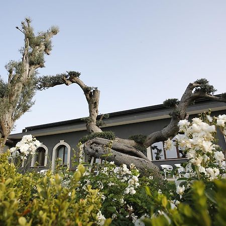 Terra Di Venera Villa Santa Venerina Luaran gambar