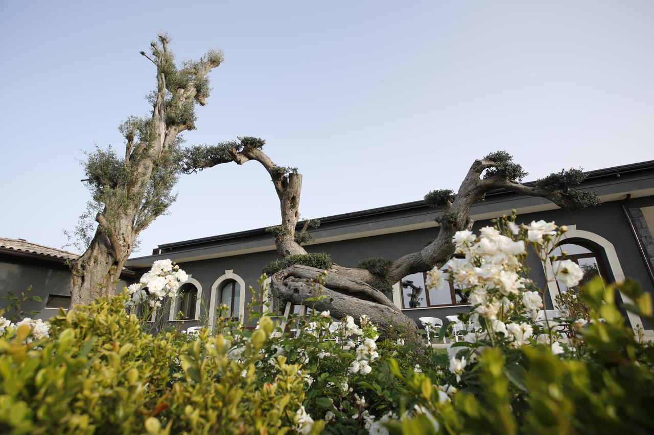 Terra Di Venera Villa Santa Venerina Luaran gambar